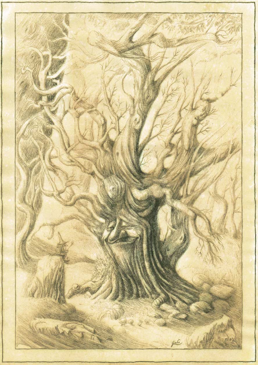 parchemin de féerie, illustration représentant un arbre trogne et un gnome