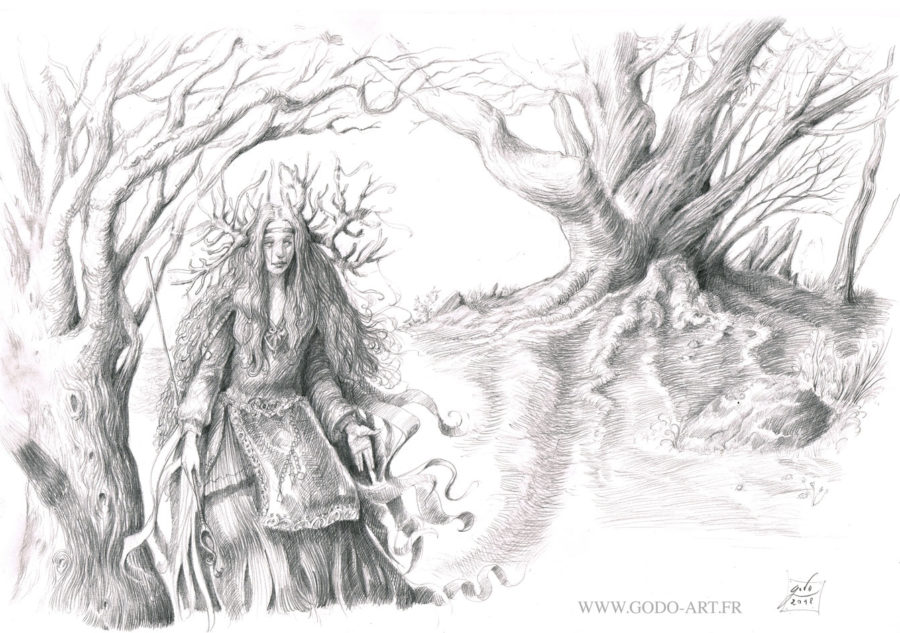illustration représentant une enchanteresse ou chamane, devant un arbre maître