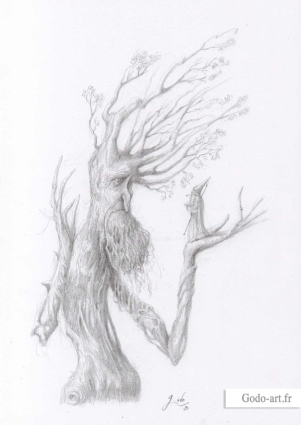 sylvebarbe ou treebeard et gandalf dessin crayon