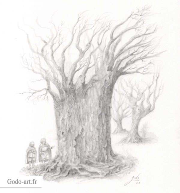 hobbit et huorn